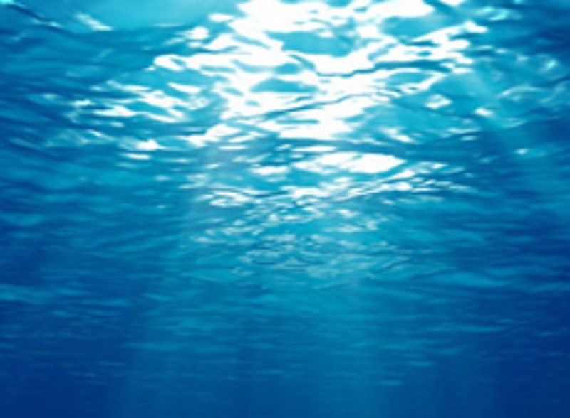 01 2500mg深海胶原蛋白胜肽 MARINE COLLAGEN PEPTIDE 1